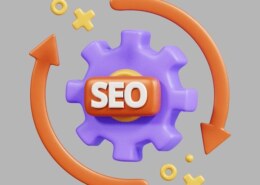 What is the primary purpose of a professional SEO service according to the document?
