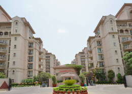 Looking For DLF Beverly Park 1 For Rent In Gurgaon Luxury Flats In Sector 25 With Spacious Layouts And Premium Amenities?