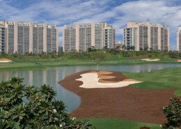What makes DLF The Camellias in Gurgaon the top choice for renting premium flats?