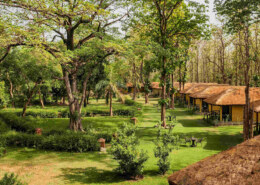 What activities are available at Bijrani Jungle Cottages?