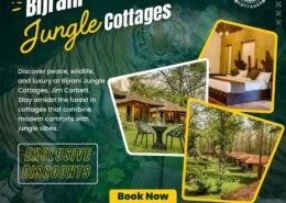 Best Jungle Resort in Jim Corbett for Wildlife Lovers