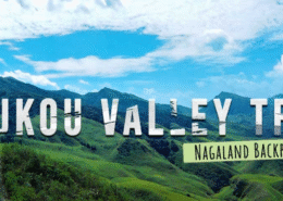 What is the Dzukou Valley Trek famous for?