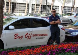 What can homeowners expect during a visit from pest control specialists, from inspection to treatment?