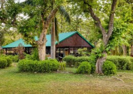 Planning Camping in Corbett and thinking about staying at Bijrani Jungle Cottages?