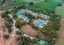 What are Ranthambore New Year Packages?