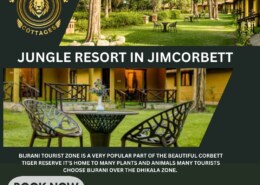 Why choose a Jungle Resort in Jim Corbett for your stay?