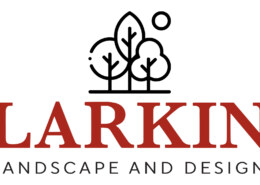 Bringing Zen to the Midwest: Custom Water Features in Altoona, IA