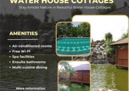 Why should you choose Water House Cottages for your next getaway?