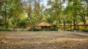 Bijrani Jungle Cottages