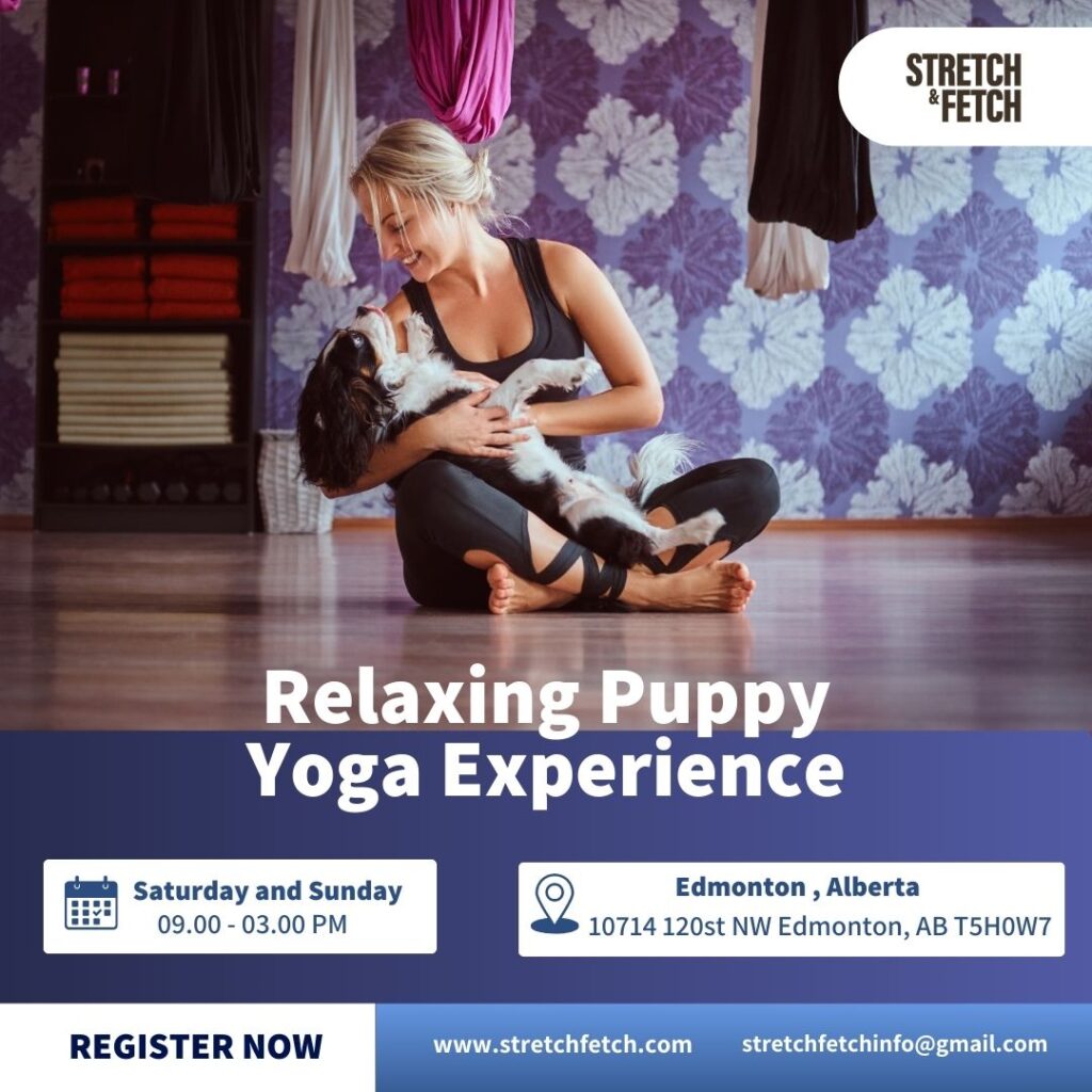 Relaxing Puppy Yoga Experience